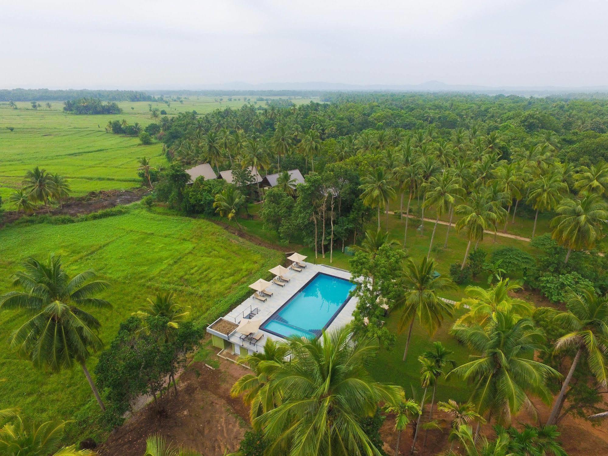 Miracle Resorts & Villas Polonnaruwa Eksteriør billede