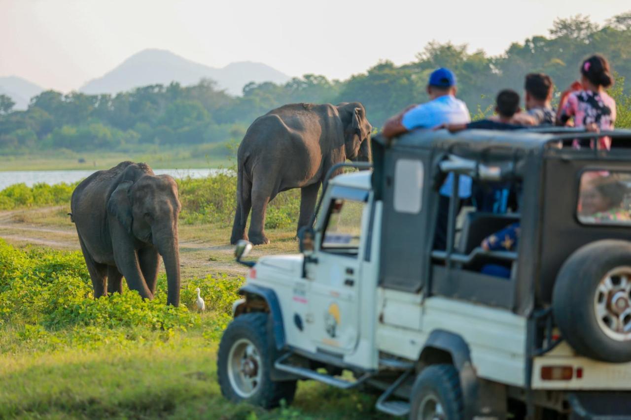 Miracle Resorts & Villas Polonnaruwa Eksteriør billede